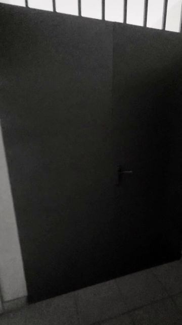 Дверь в лифтовую I Металлическая дверь I Дверь в мусоропровод I Сварная дверь в подьезд