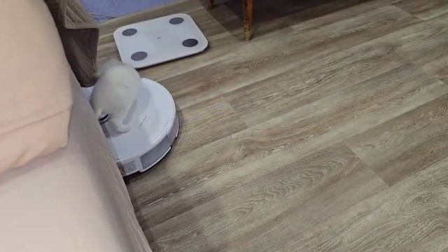 1000000128.mp4