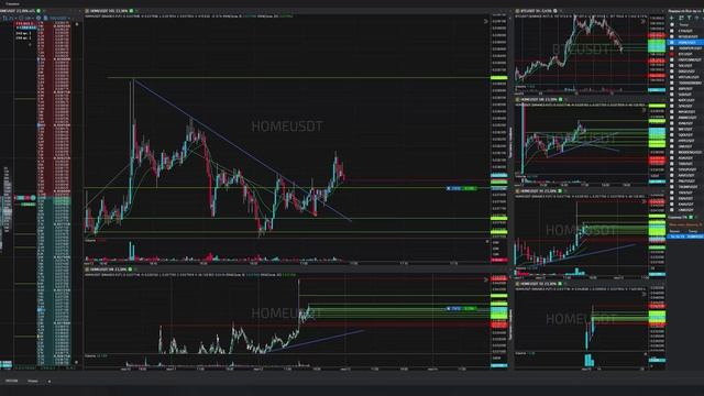 5-Homeusdt-Long-Stoploss-12-06-2025-17-02-18