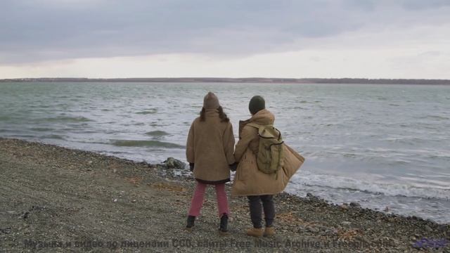 Вы не слышали море таким, пока не включили этот трек! - Thought Bubbles -- Podington Bear -- Said Li