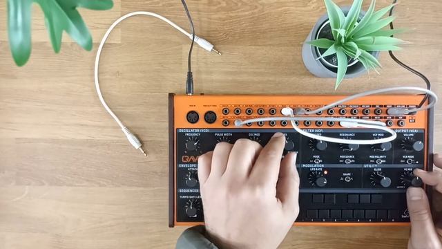Behringer Crave Tutorial | Creating a Performance Patch for Dystopian Ambient Music