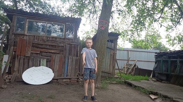 скейт дерево
