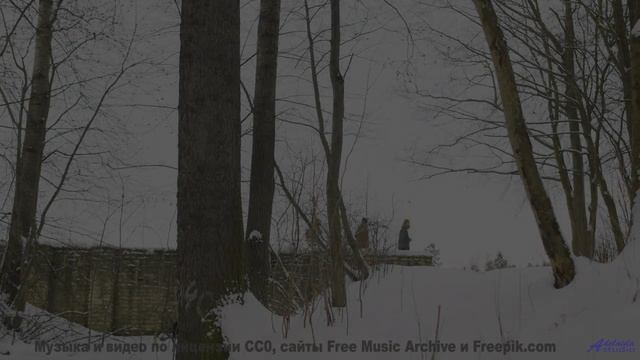 Вам такого не показывали - природа и музыка - Assassinio in orbita (reprise) -- Fourmi -- LAlunissag