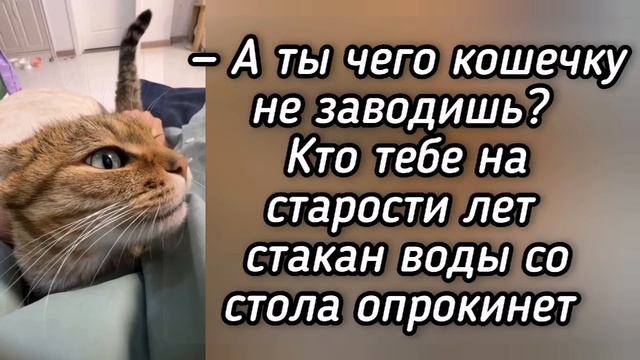 Анекдот из Сыктывкара