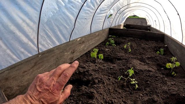 Закончил с пахотой.Купил гускй 2025г