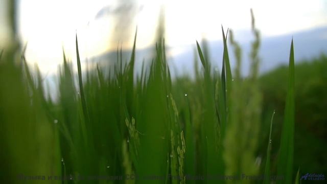 Это место ВЫЗЫВАЕТ галлюцинации! - Deliverance -- Ketsa -- Metaphysics