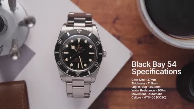 Tudor Black Bay 54: что не говорят рецезенты! (3 месяца использования)