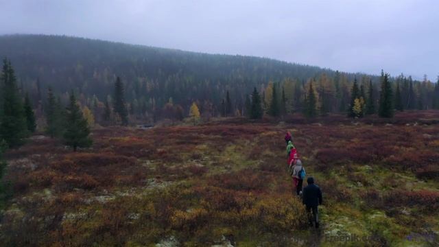Это видео ПЕРЕВЕРНЁТ твой мир! - Unfocused -- Ketsa -- Through to Fall