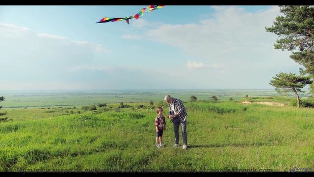 Эти ноты - поцелуй солнца! - Sweet And Sour Sanich -- Podington Bear -- Haplessly Happy (Box Set Dis