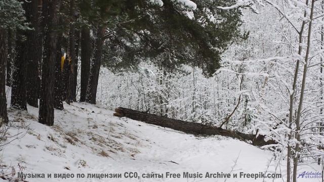Музыка, которая звучит как обещание 'мы вернёмся сюда ещё раз' - Man Outta Town-Instrumental -- Forg