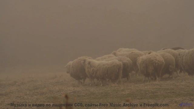 Эти виды под этот звук пробирают до слёз - Calendar -- One Man Book -- Ghosts + Echoes