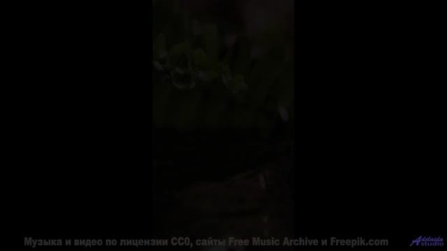 Музыка для цифрового рая - готовы ли вы к загрузке - Intimidated -- A. Cooper -- AC3