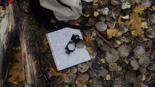 Музыка заставляет смотреть на природу по-другому - Surrendered -- Ketsa -- Growth