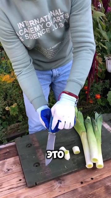 Авторская модель из самой (не кликбейт!) крепкой стали на планете #russia #топ #обзор