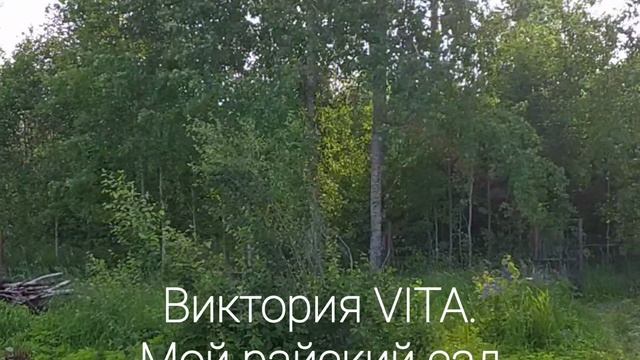 Виктория VITA. Мой райский сад