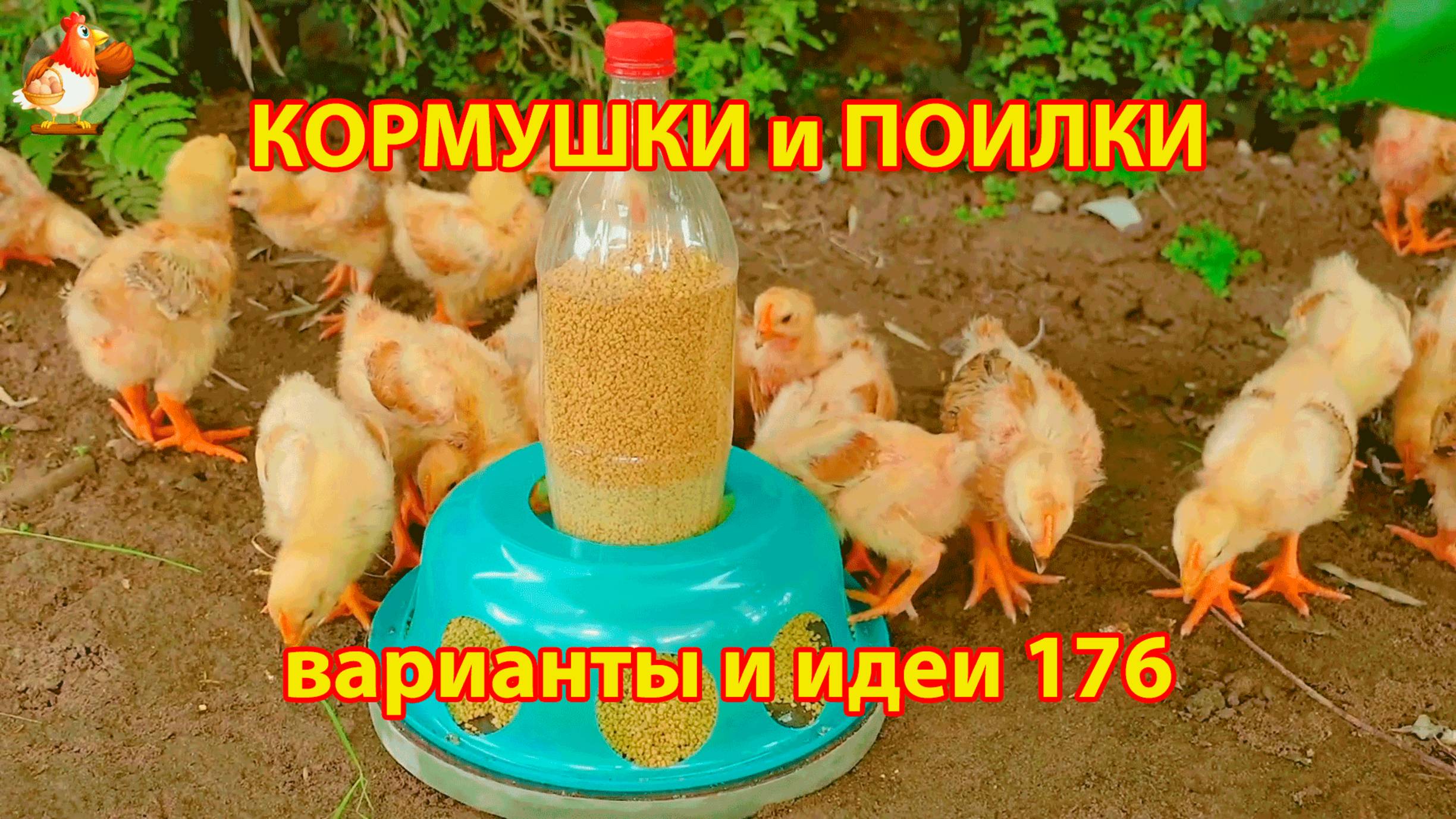 Кормушки и поилки для кур своими руками (176) 🪚✂️ Пошаговая инструкция как сделать 🐔 🐓❣️