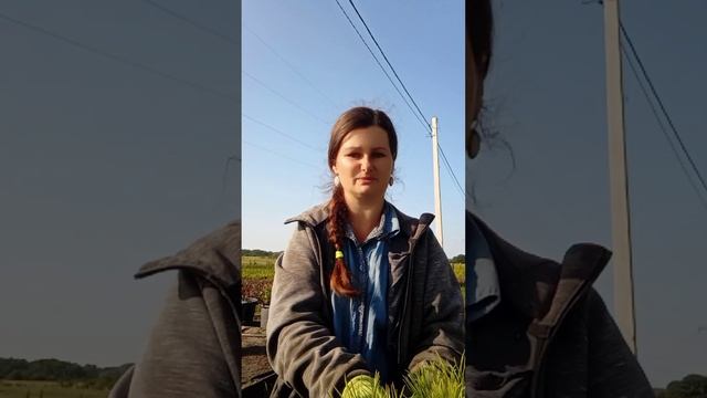 Как позволить себе хотеть