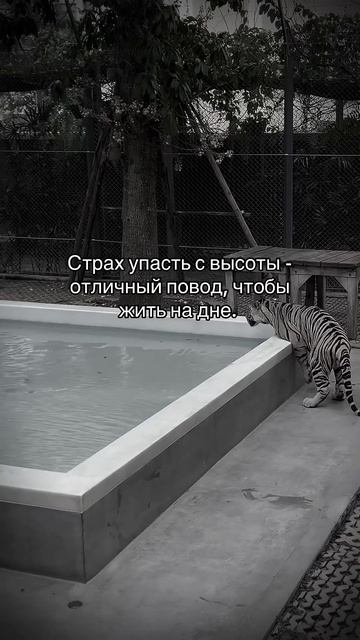 Плохой повод