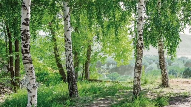 Прекрасная музыка для релакса
