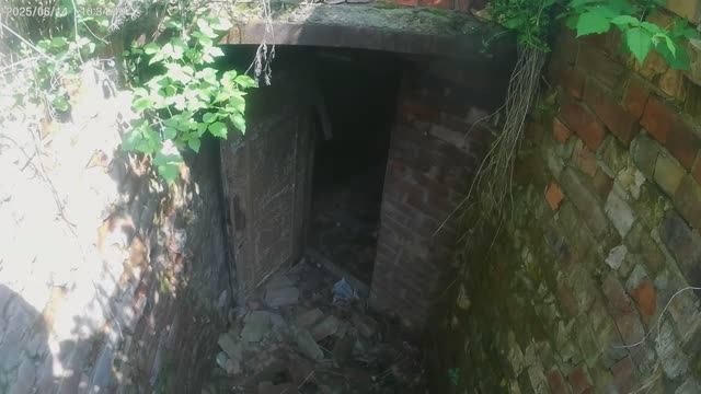 Прокатились на прогулку в лес.Нашли какие то развалины.