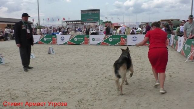 Класс ветеранов