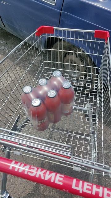 Спасибо волшебнице Евгении за помощь на томатный сок и лекарства!