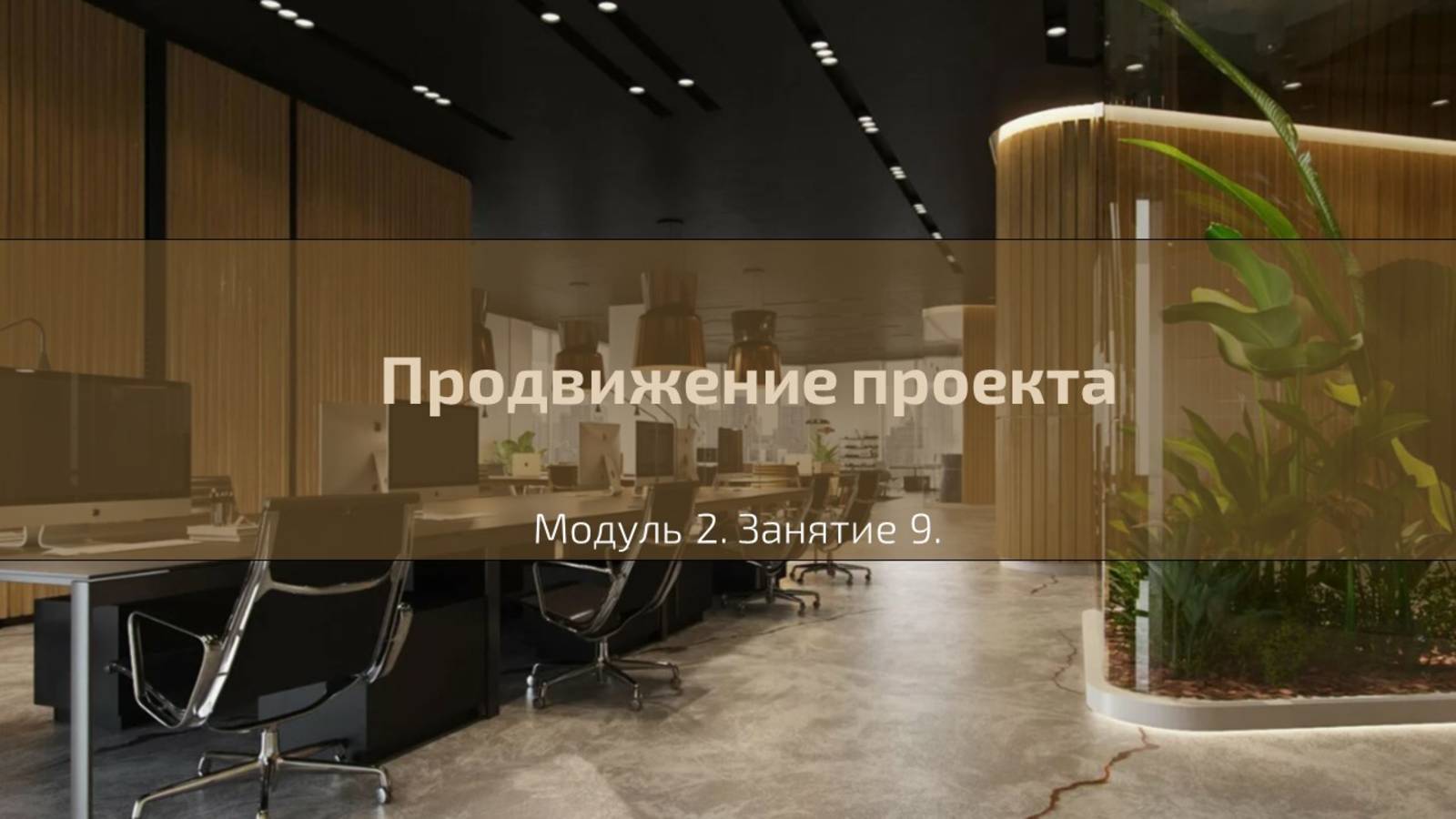 Долгосрочный курс "Менеджер социального проекта". Лекция №13