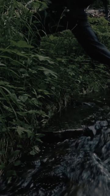Solo Tarp Camping - Rain and Campfire (ASMR) #1 #shorts