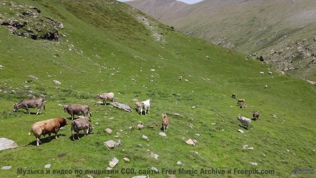 Слушайте её вместе - и почувствуйте, как сердца синхронизируются! - Pressure -- Makaih Beats -- Pres