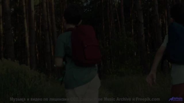 Этот трек - как компас, ведущий к мечте! - Silence By Sentence -- One Man Book -- Potlatch