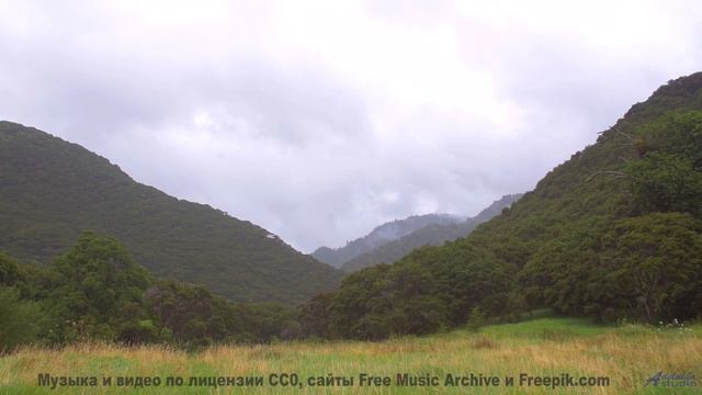 Звуки, которые могут перезагрузить ваш мозг - попробуйте! - This Is What We Live For -- SUPERARE --