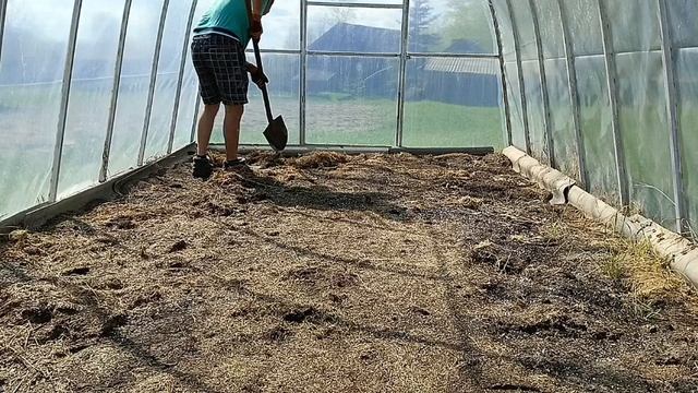 pro.hozyaistvo Готовим теплицу к сезону: 7 шагов к идеальной посадке.