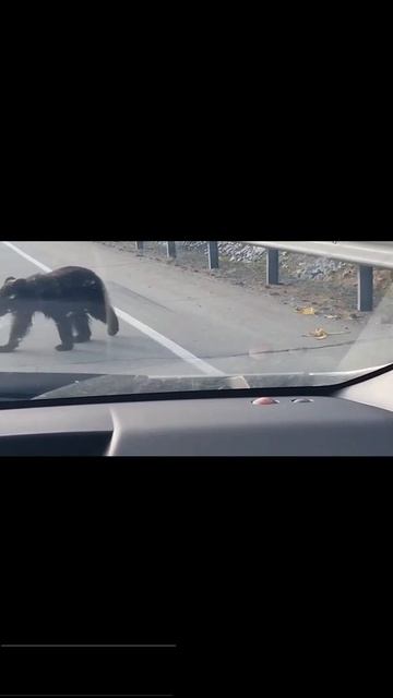SVID_20250614_092557_1.mp4