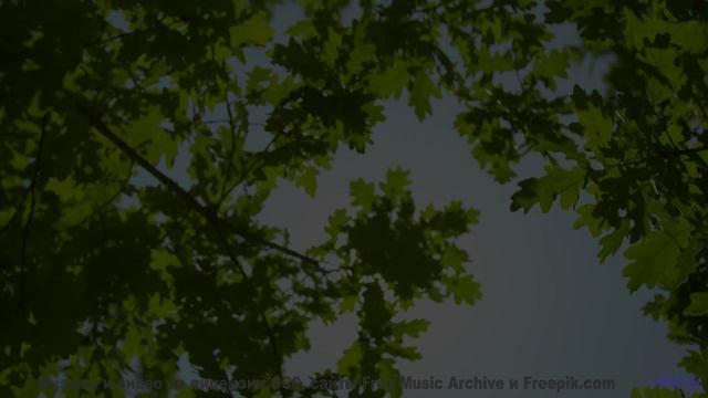 Природа, увиденная через квантовый микроскоп - невероятные детали! - Oh My Oh Me Oh -- Derek Clegg -