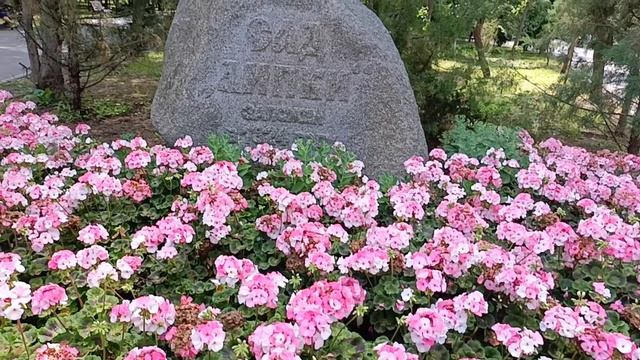 Саратов 🫶