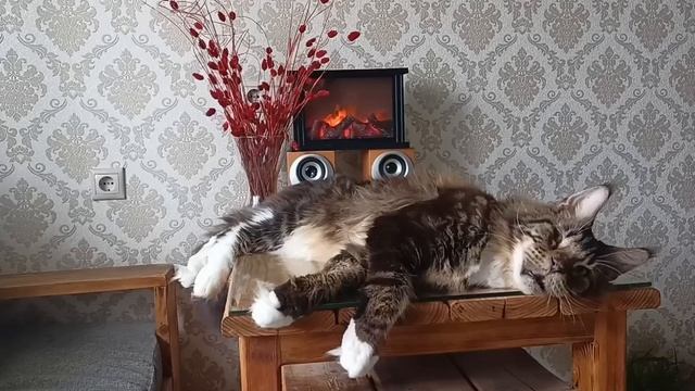🏠За окном идёт дождь.Кофе Будешь?