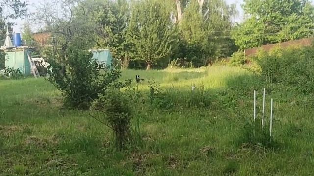 Несколько дней из жизни ,,отдыхающих,, 😂