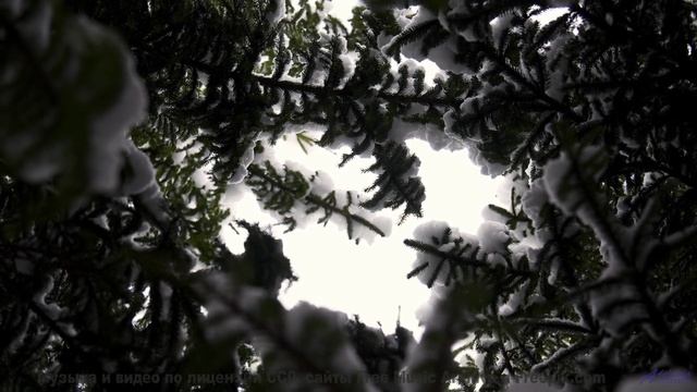 Звуки, материализующие мысли - где граница между наукой и магией - Coins -- HoliznaCC0 -- Gamer Beat