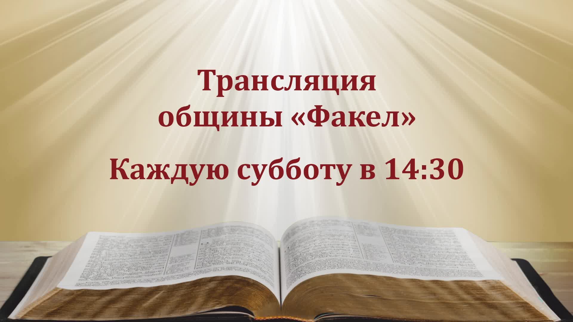 Квашнин.В.Н. HASD Fakel 14.06.2025.