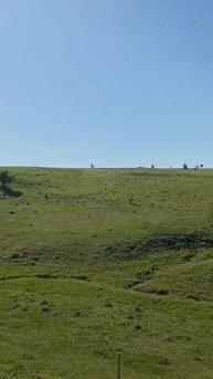 Как обеспечить коровам комфорт в знойный июнь