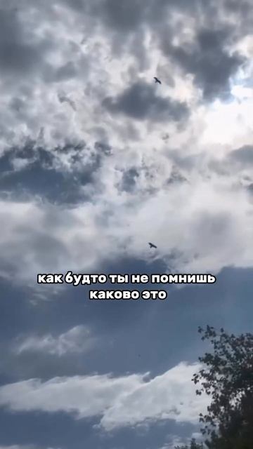 Пройди авторский тест