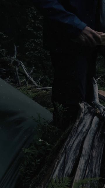 Solo Tarp Camping - Rain and Campfire (ASMR) #2 #shorts