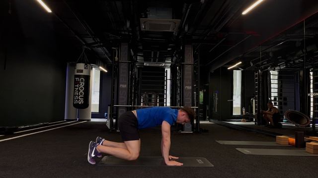 Downward-Facing Dod (Собака мордой вниз)