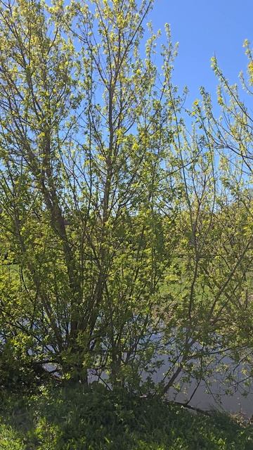 Вязьма #nature #travel