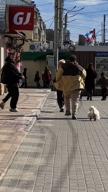 Сабака