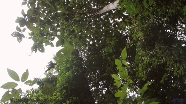 Вид на горы становится личным откровением с этой музыкой - 07 Within-Time -- Ketsa -- Free and Beaut