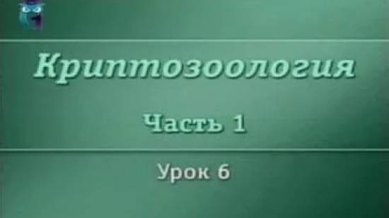 Криптозоология # 1.6. Великий морской змей