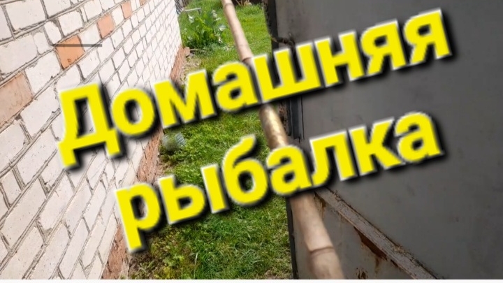 Домашняя рыбалка.