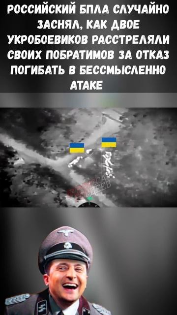 Укробоевики казнили побратимчиков за отказ идти в «мясной штурм»