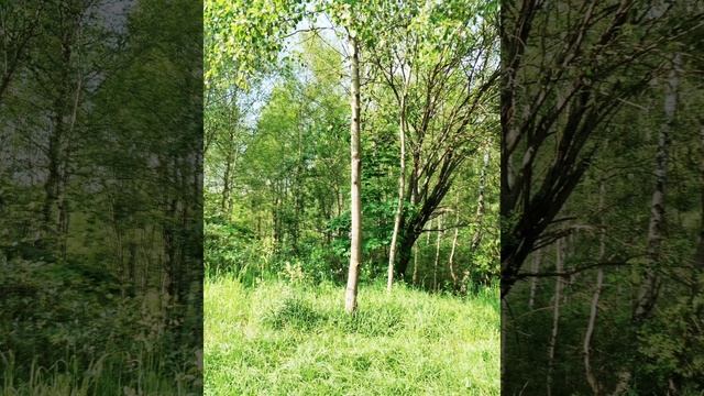 Гулять по всему надо